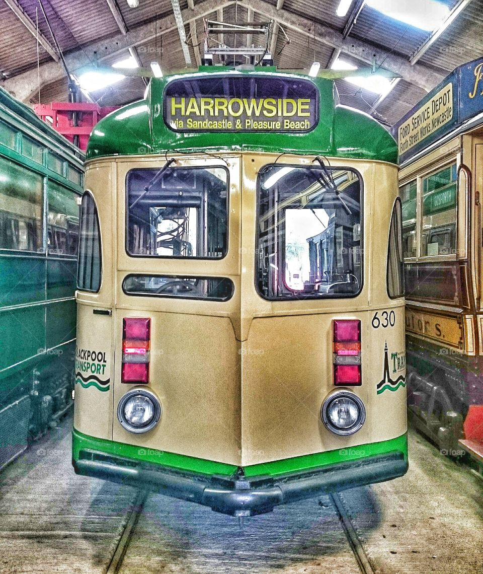 tram car . the story of trams 