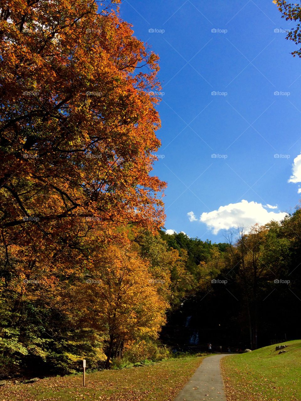 Kent Falls State Park, CT