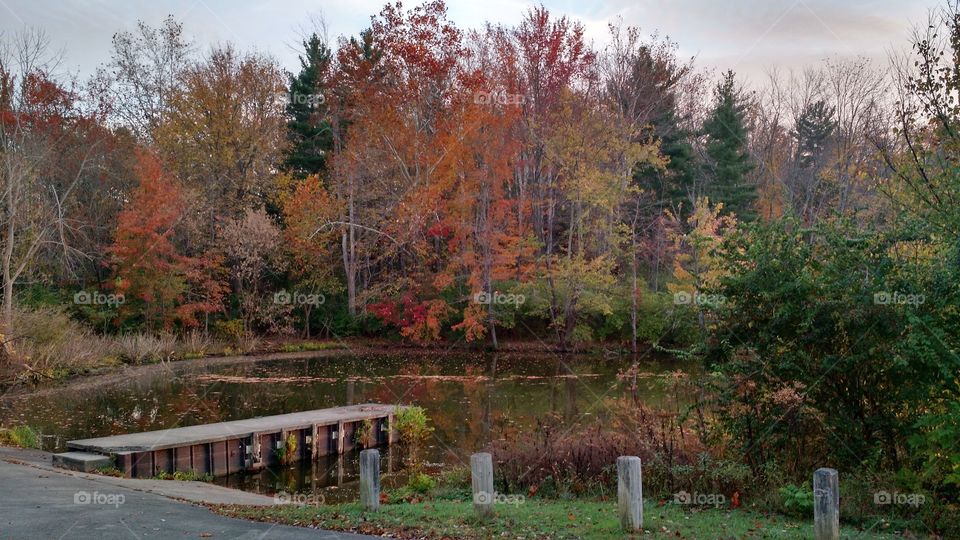 Autumn boat dock