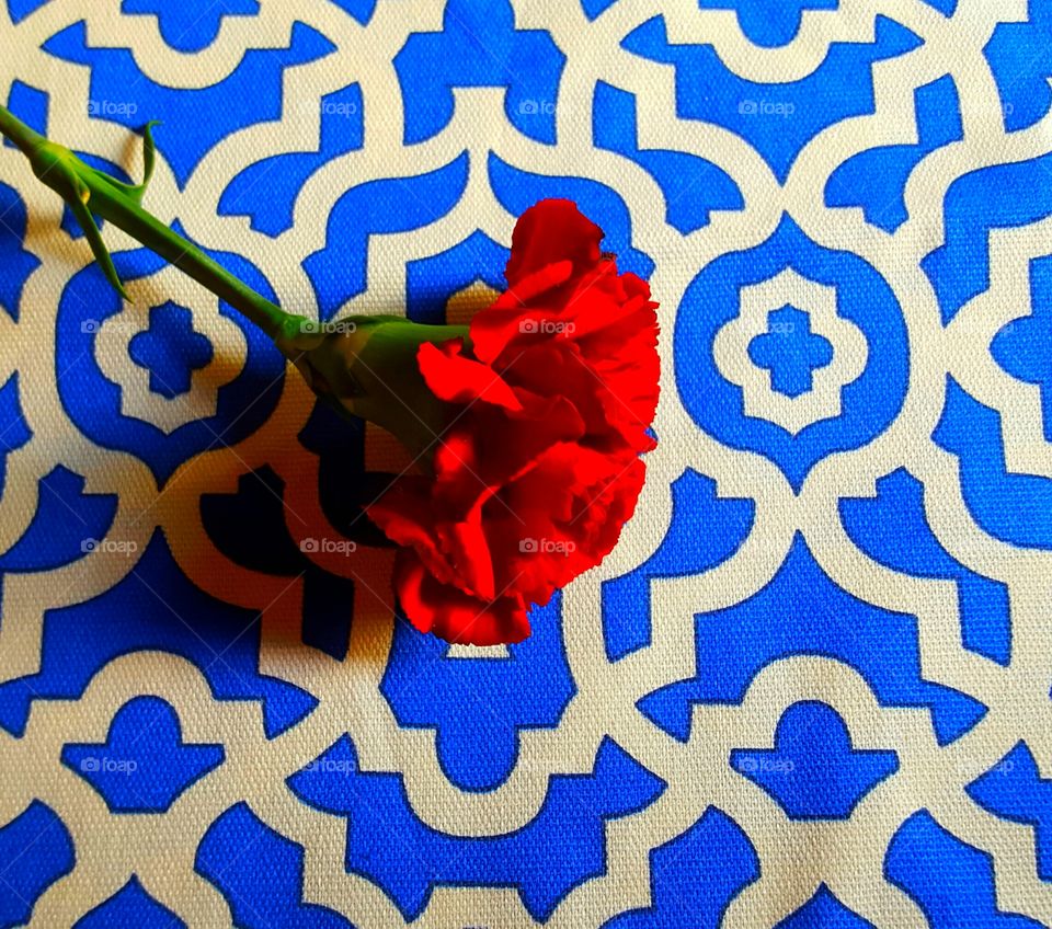 red carnation on blue print