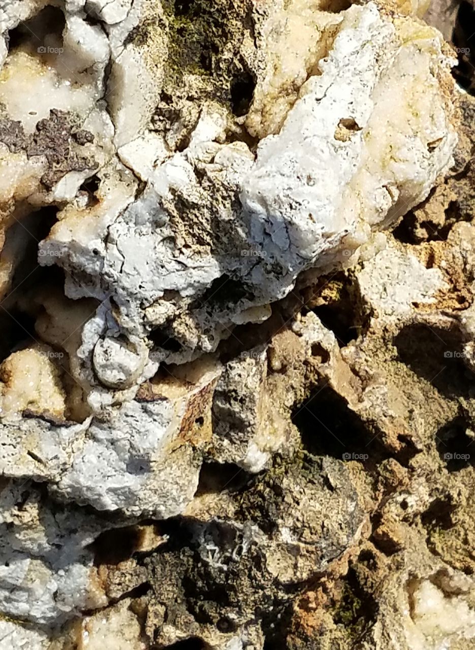 What can we  Really see in a Rock