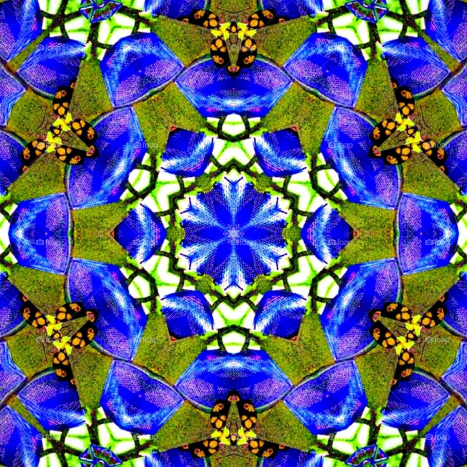 My foot is actually in this kaleidoscope.  I thought it was something else! Austin Texas. Facebook-Gifter Phoenix of Austin Texas, Instagram-@gifterphoenix,YouTube Phoenix Gifter