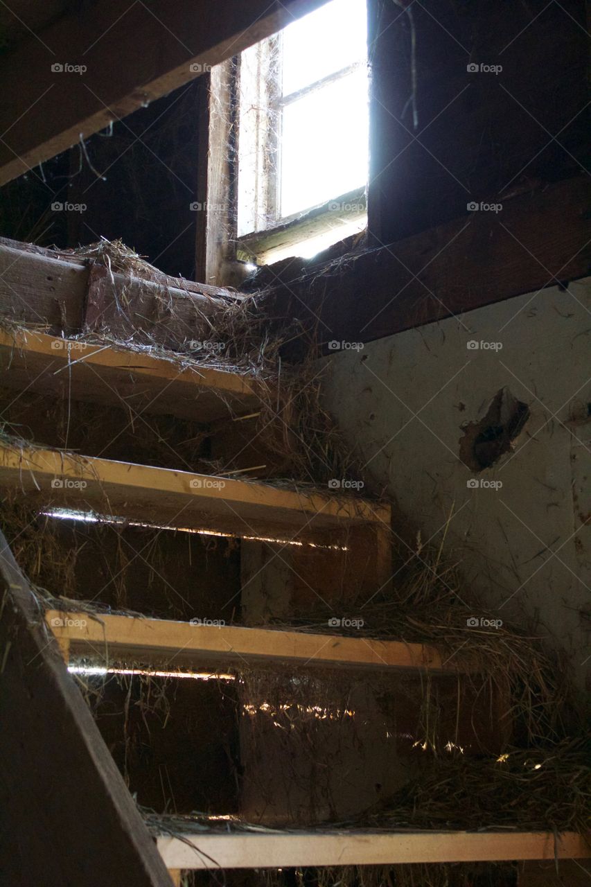 Stairs in a barn up to a hayloft 