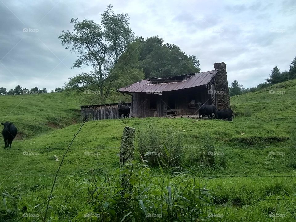 Solitary remnant of days gone by