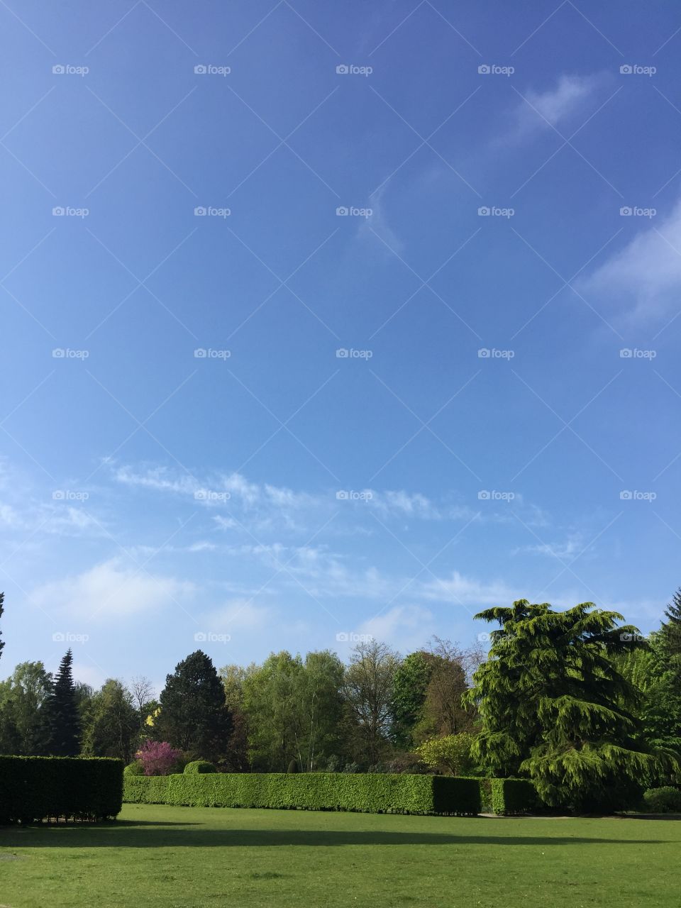 Park in Antwerp in springtime