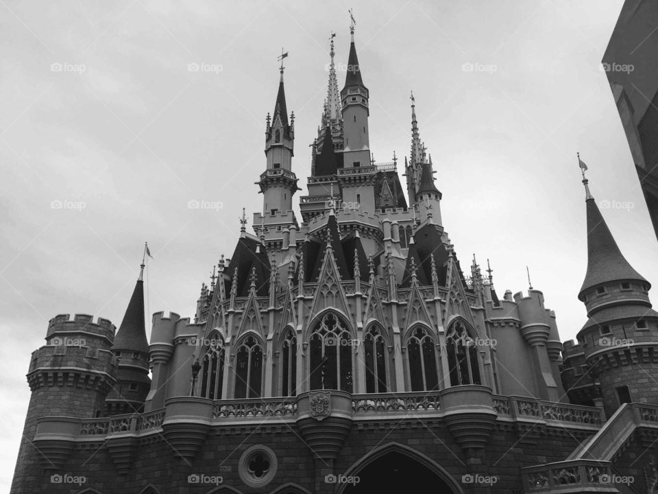 Disney Castle Black and White