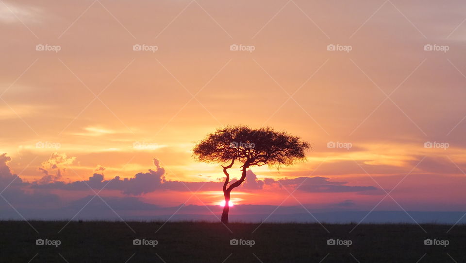 Masai Mara Sunset