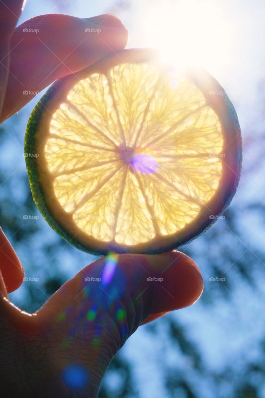 Lime In The Sun, Sunshine Lime, Fresh Fruit Outside, Portrait Of A Lime, Homegrown Limes 