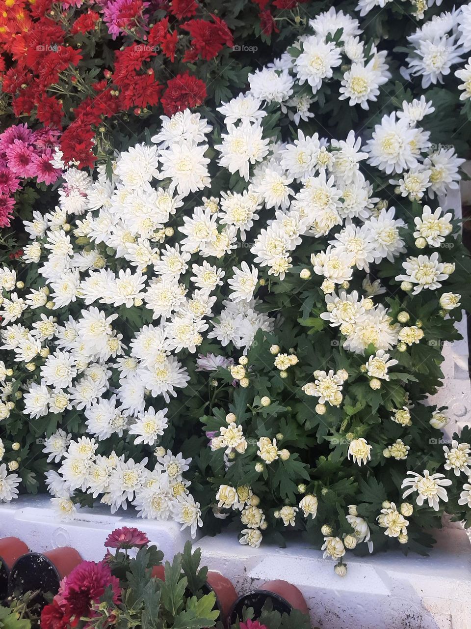 Please make me happy, I am poor, I need your help with support