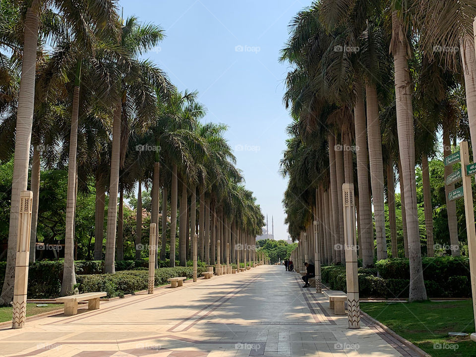 Be optimistic, life is beautiful❤️