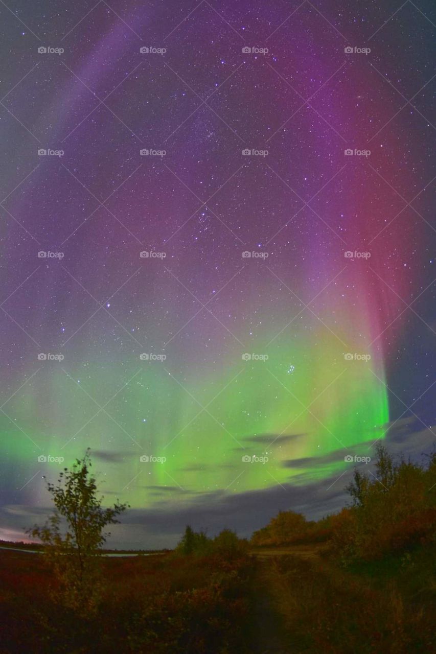 Night, aurora borealis, north, night north, polar region, night polar region, northern lights, stars, frost, frosty night, breath, cold, new year, Santa claus, northern santa claus, travel, night walk, shining sky, flashes, tundra, forest,