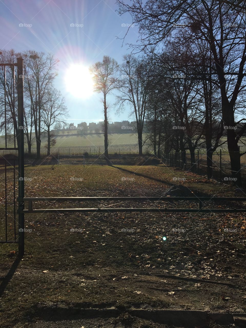 First sunny day in the village in 2017