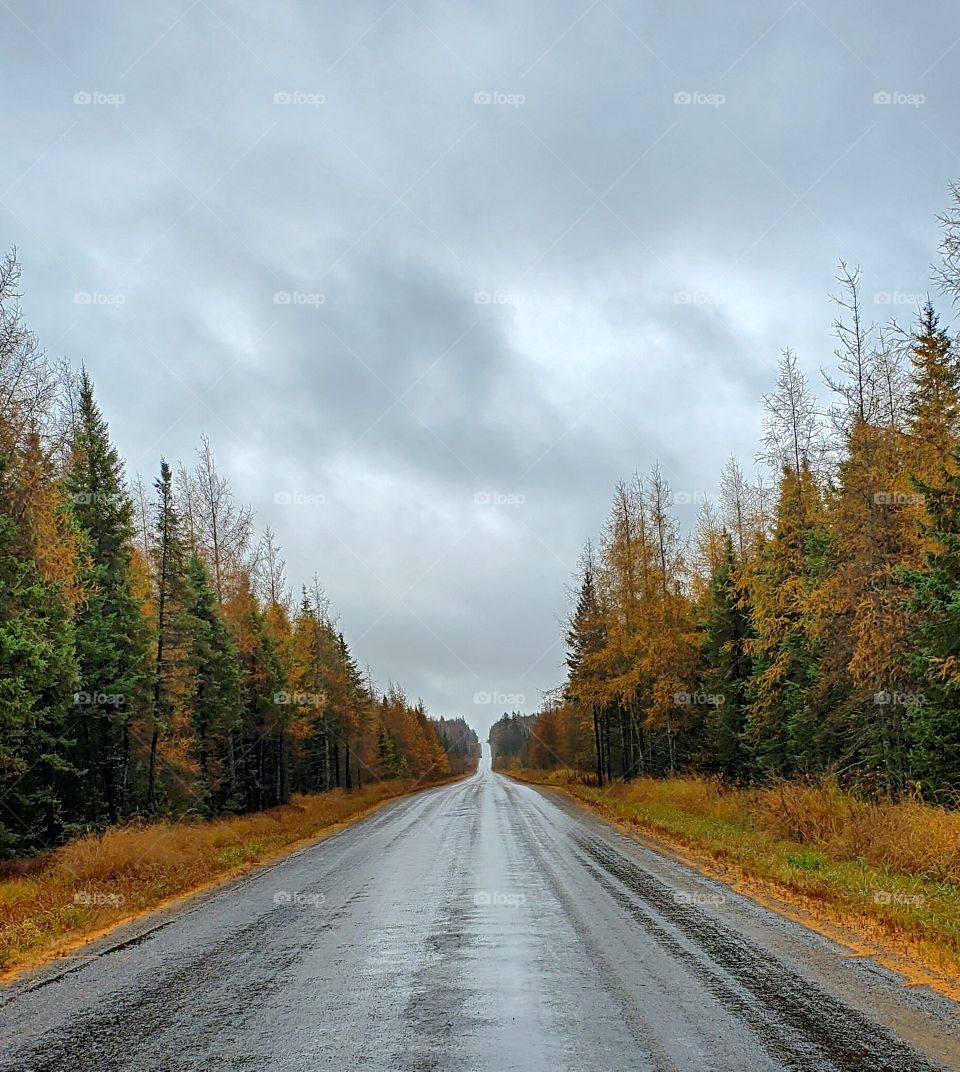 Northern Ontario country road