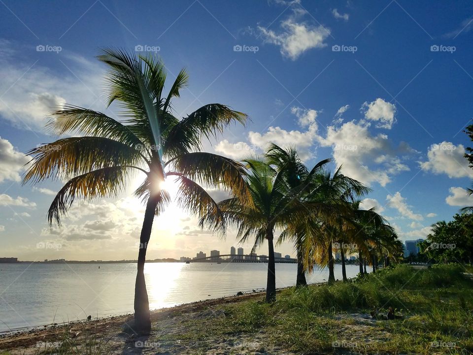 Beach, Sand, Tropical, No Person, Water