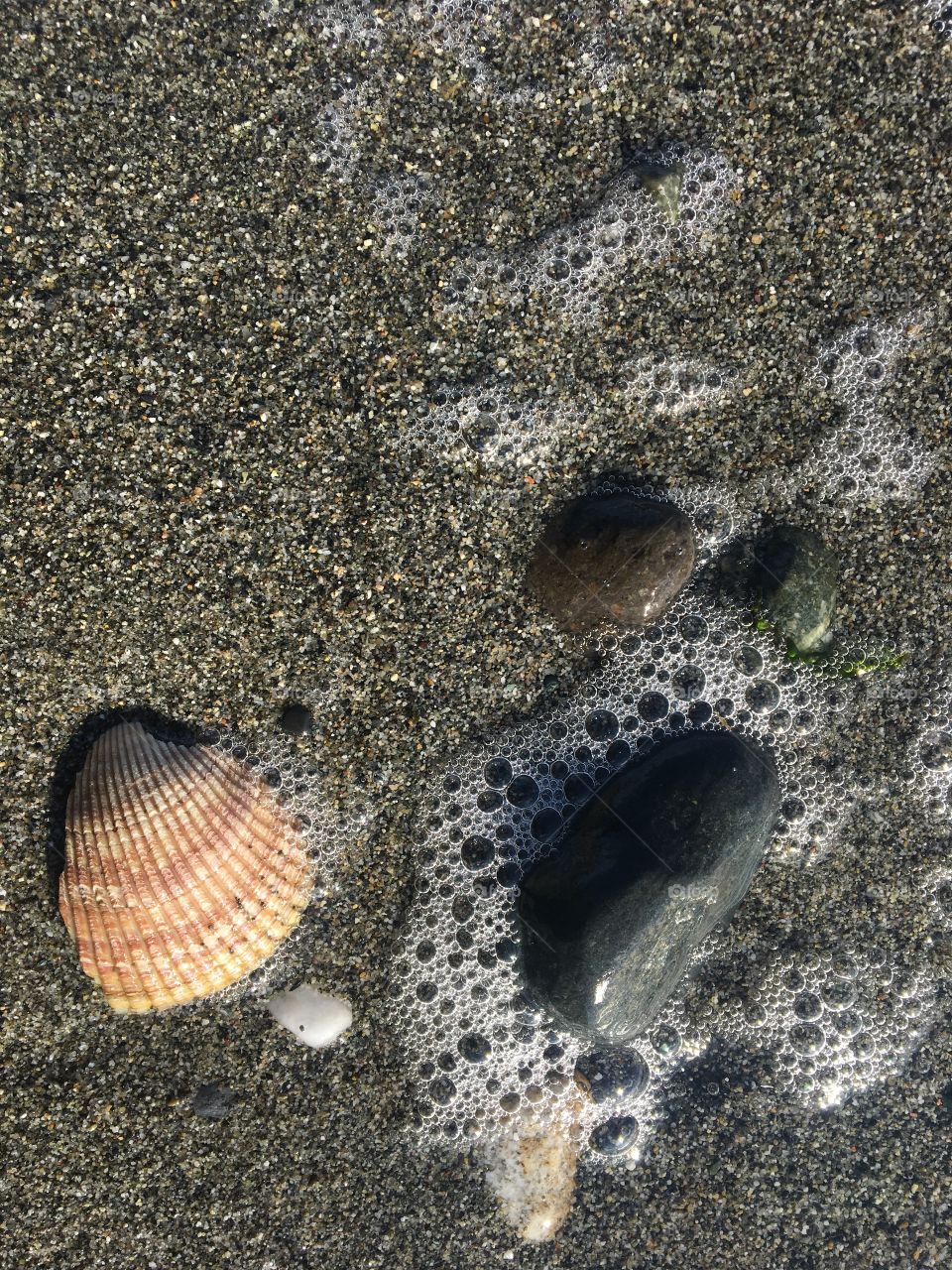 Bubbles and shells