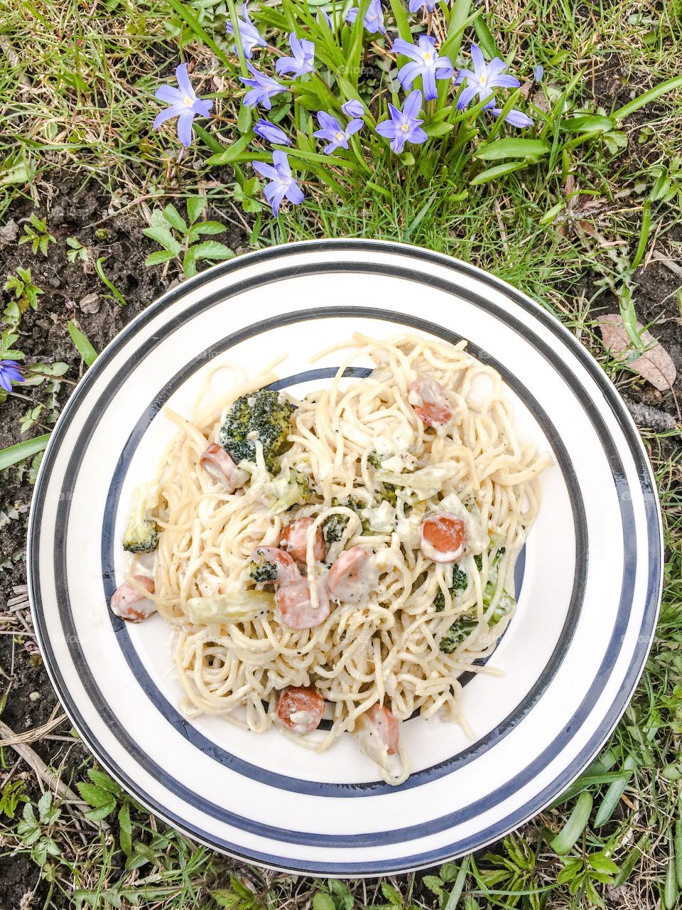 creamy plantbased pasta