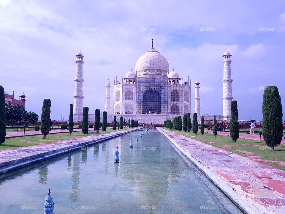 The Taj