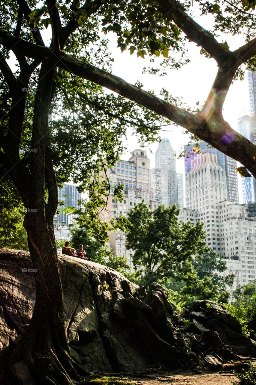 central park & sky scrapers