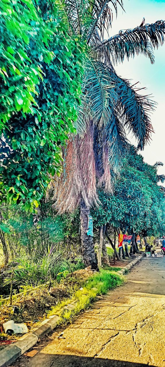 greenery environment