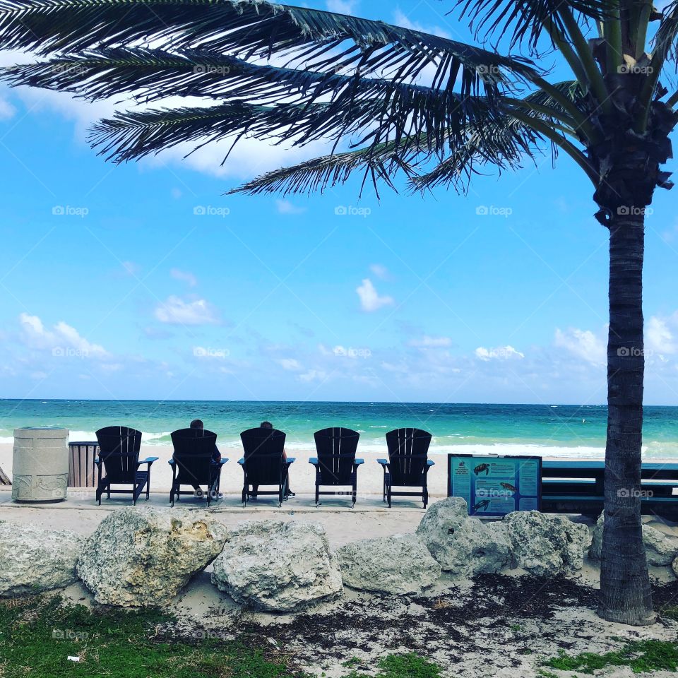 Awesome beach view, chairs, ocean, palm trees (FL)