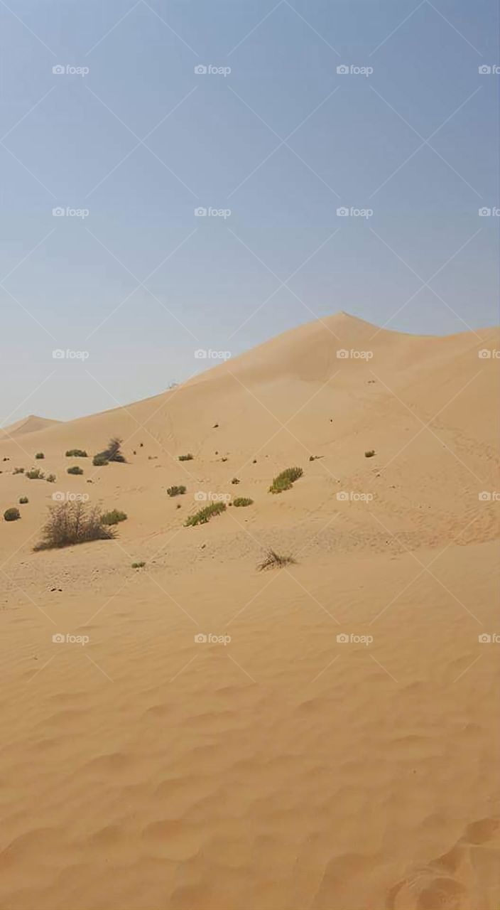 Emirates desert