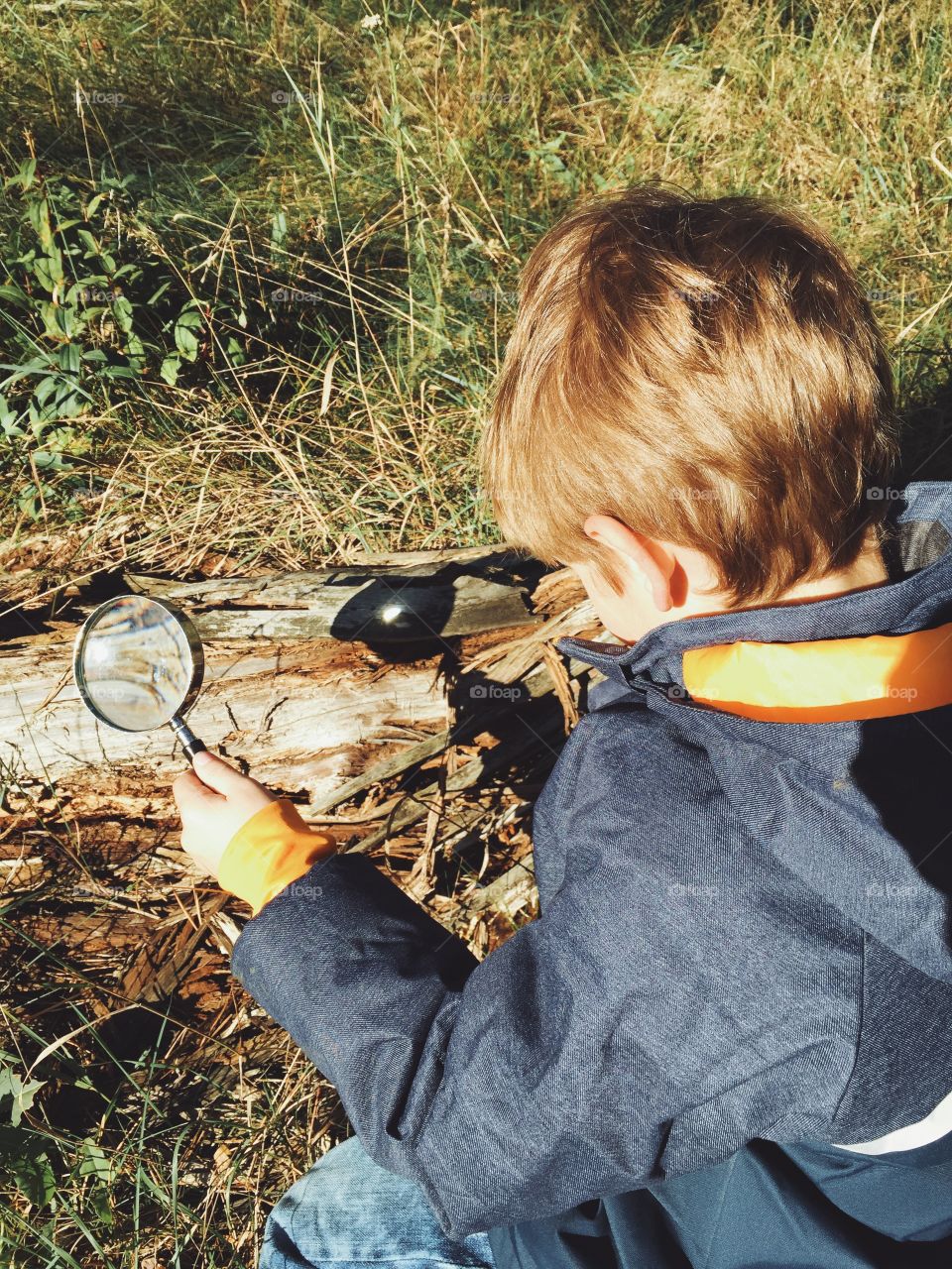 Burning a tree with a loupe. Five year old boy burning wood with a loupe