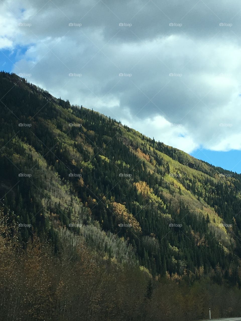 Mountains near Grande Cache