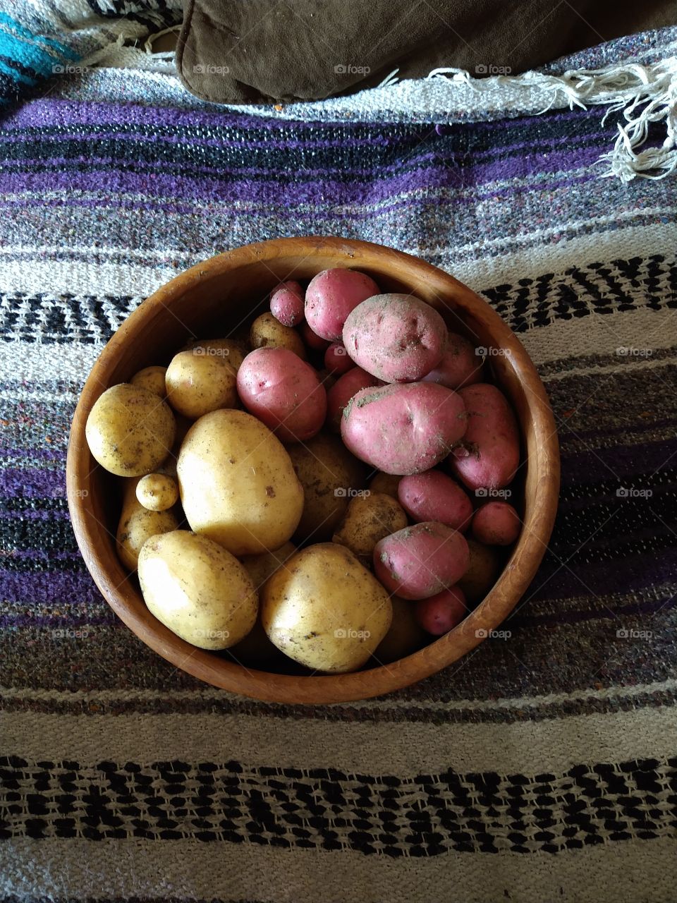 Grow food to eat, like potatoes. 2020