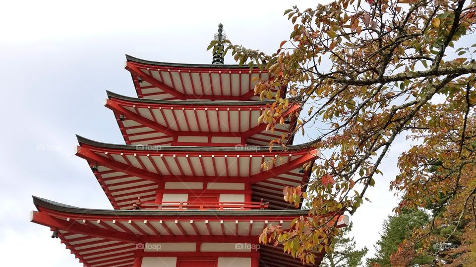 Japanese pagoda