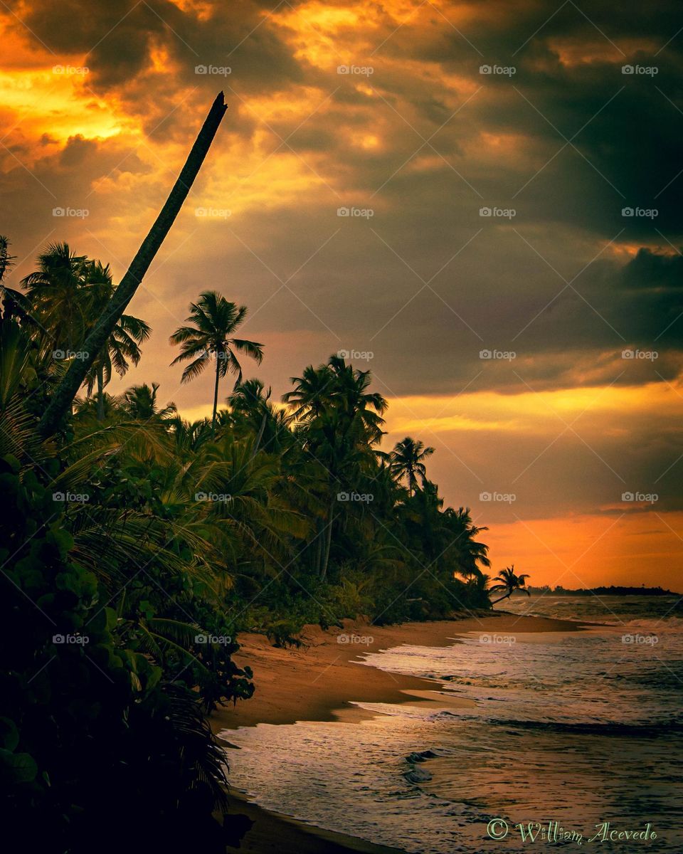 A beautiful sunset in Loiza, Puerto Rico 🇵🇷