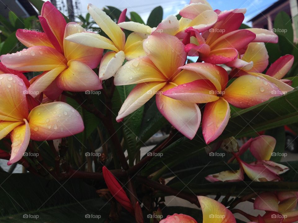 It doesn't look like what it looks