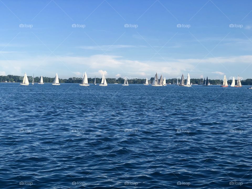 Lots of white sailboats sailing away on the water during a clear blue sky summer day