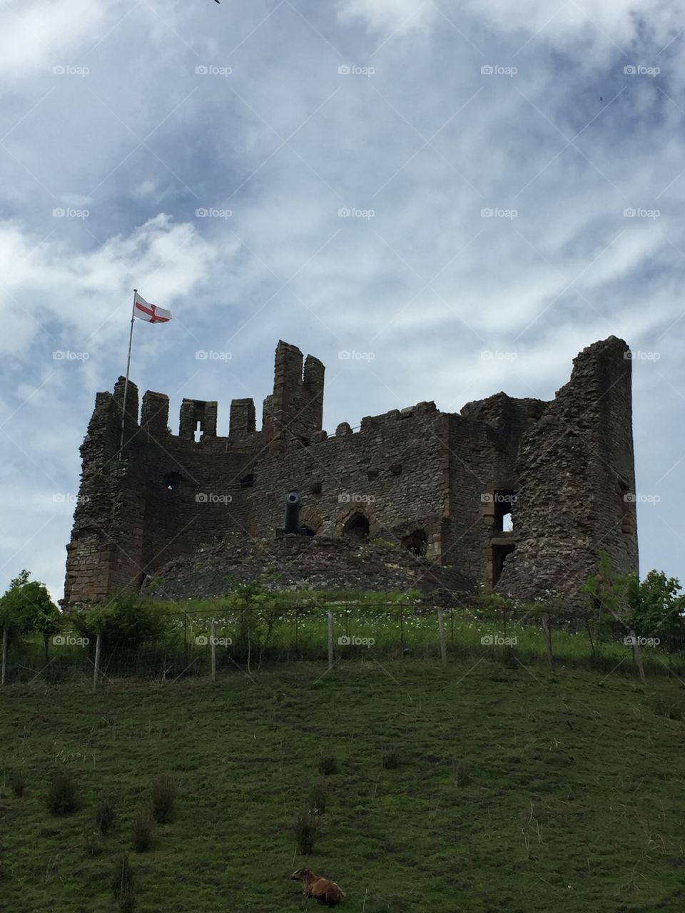 Chepstow castle ruins 