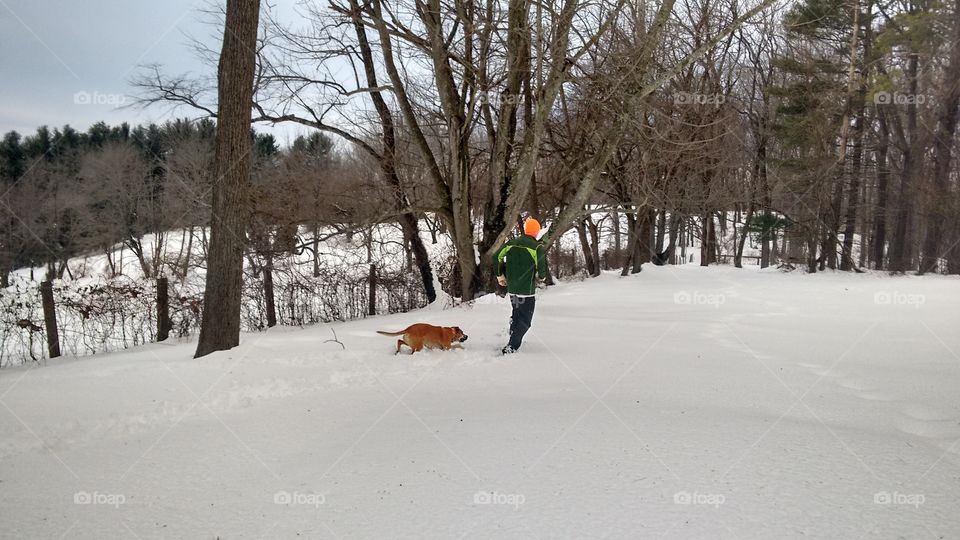 "Let's go, let's go, let's go!" Trail run after a blizzard with man's best friend