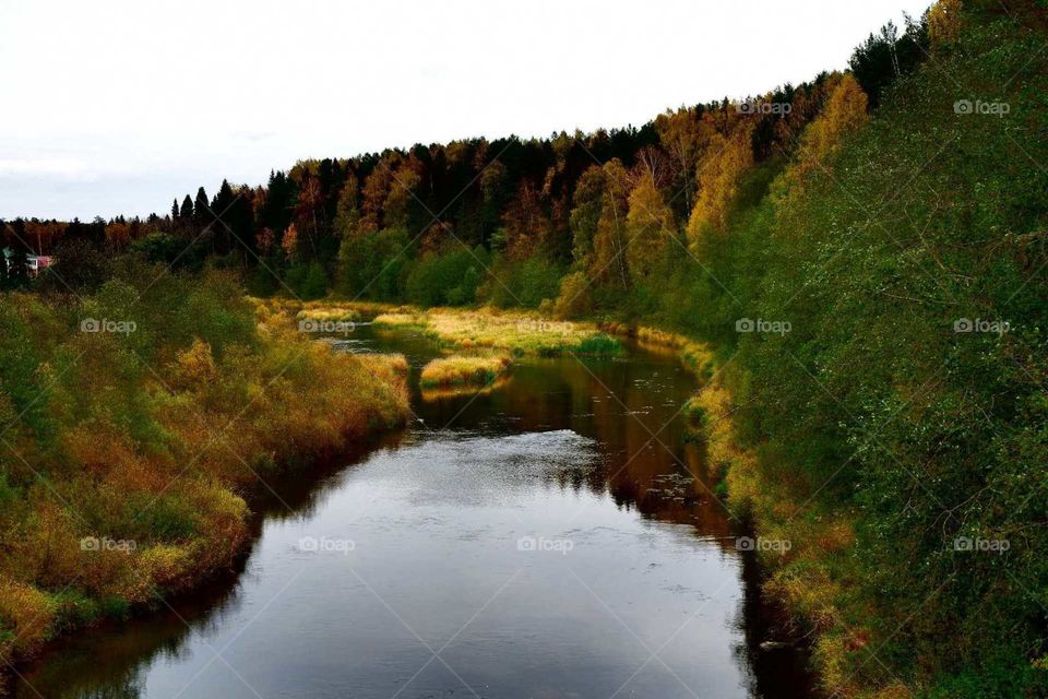Река, осень, природа