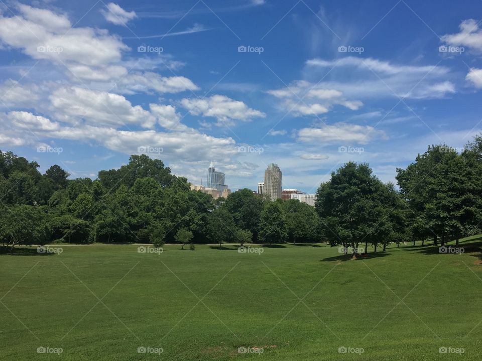 View of downtown Raleigh as seen from the Dorthea Dix park slope