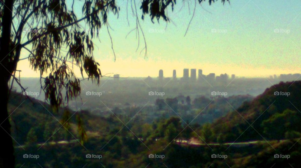 City of Angels from Griffith Park