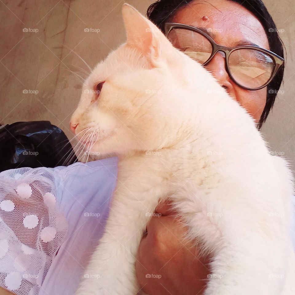 Gato belo e peludo. Para ter pelos bonitos, o gato deve ter uma dieta saudável. Seja comendo ração úmida, seca, alimentos  crus ou alguma combinação desses, a alimentação deve ser rica em proteínas, gorduras e, água fresca e limpa sempre disponível