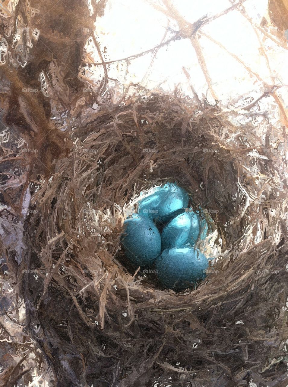Robin's egg blue
