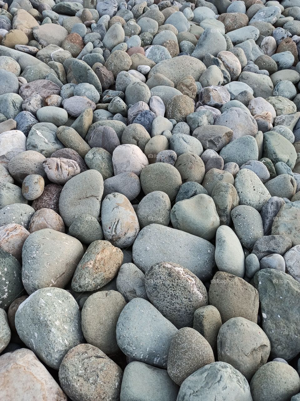 Big Pebbles in an array on banks of Rambi Arrah Nallah passing through Apple town Shopian & along historic Mughal Road Shopian Kashmir J&K India.