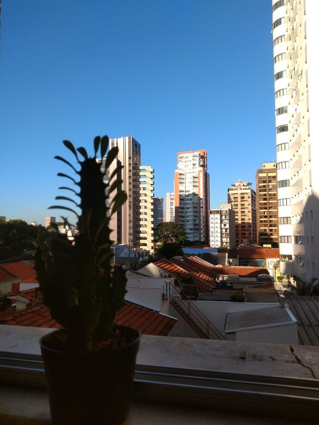 bem vindo foap
