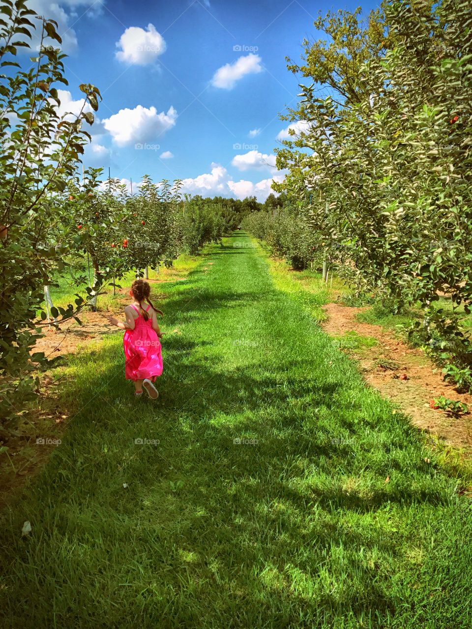 Little girl in a pink dress running through an apple orchard