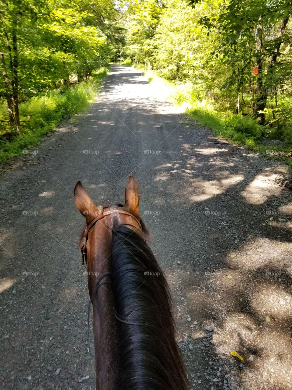 Road, One, Outdoors, People, Daylight