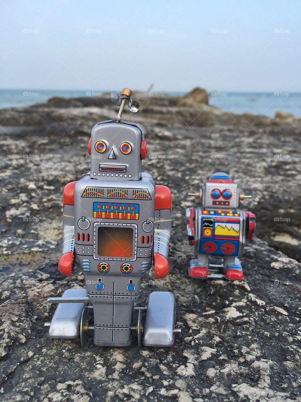 Two tin toy robots on the rocks