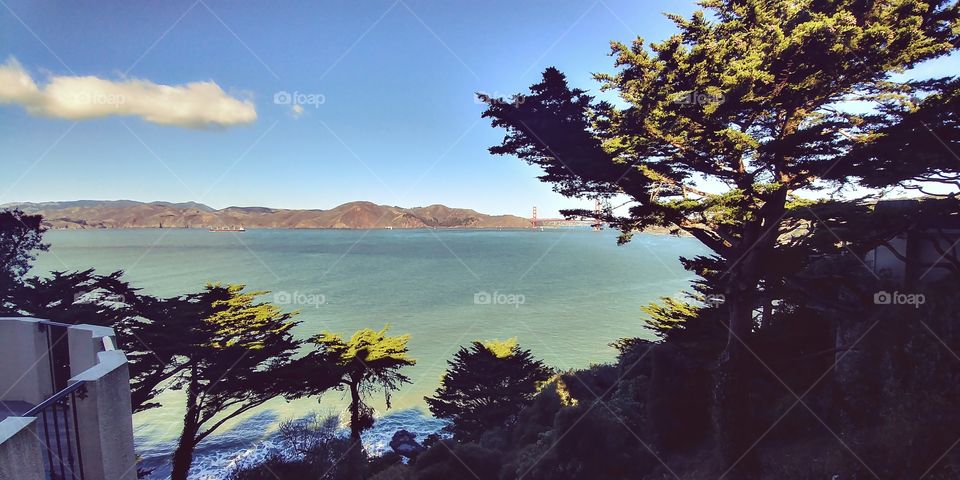 view of the Bay in San Francisco