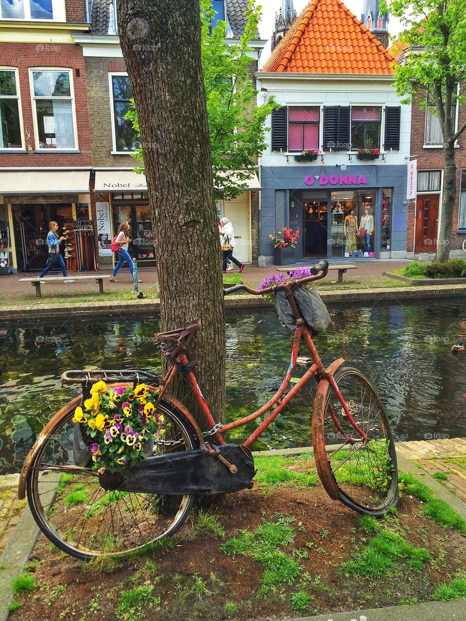 Bicycle on the canal