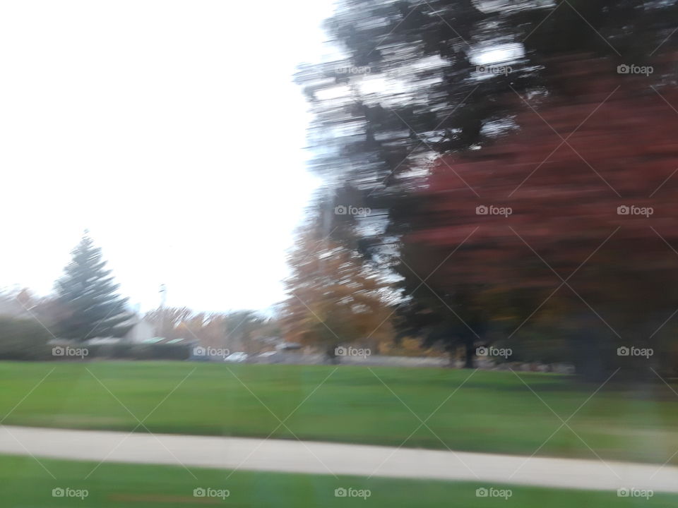 blurry fall leaves