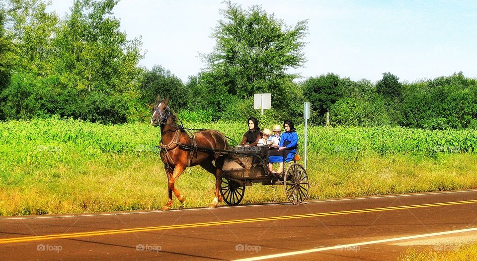 FingerLakes NY - Amish 