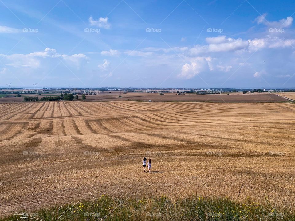 Summer freedom 