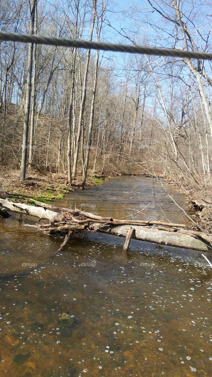 log over creek